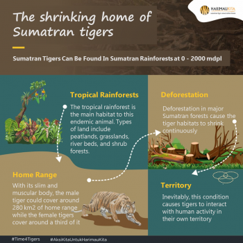 tigers habitat